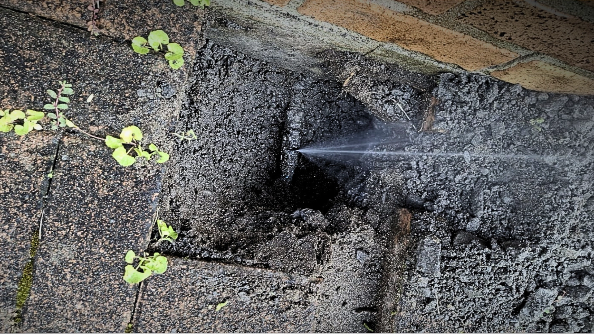 24/7 Emergency Plumber Whangarei